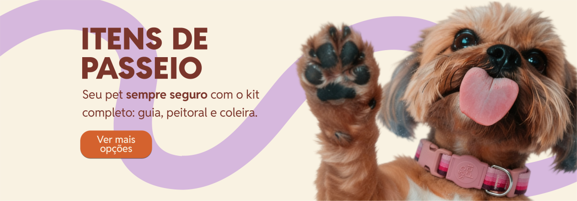 Itens de passeio: guia, peitoral e coleira